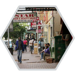 Trusted Expert Support